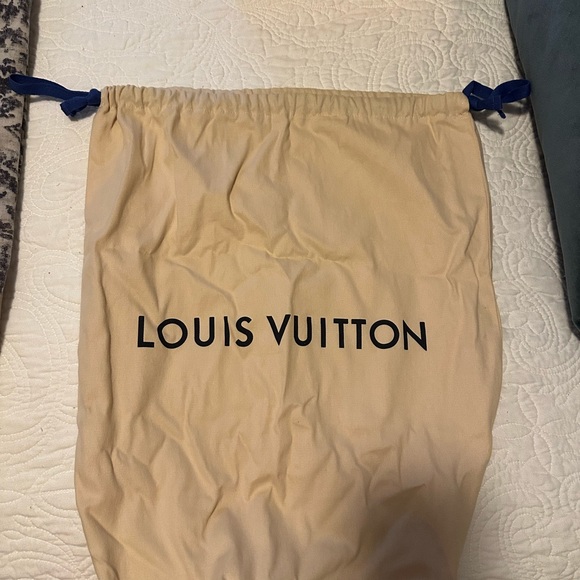 Louis Vuitton Monogram Odeon PM - Picture 6 of 16